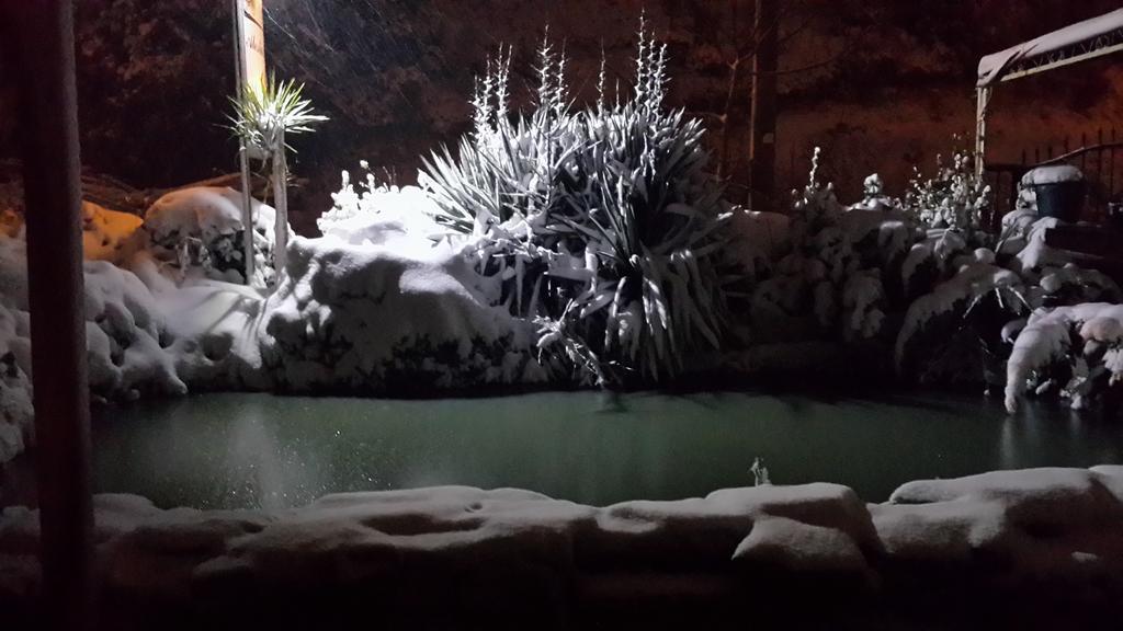 Alesta Butik Otel Ağva Eksteriør billede
